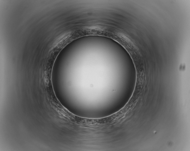 X0000097910774200803141418