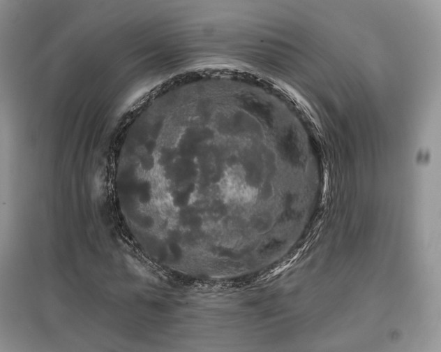 X0000097910775200803141418