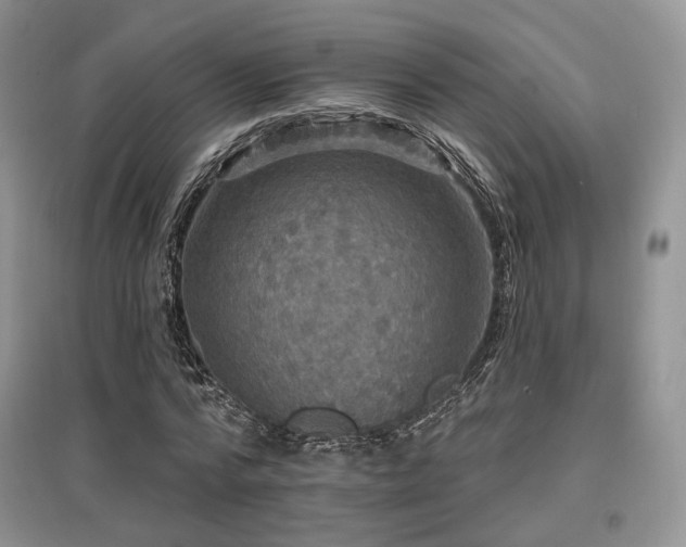 X0000097910776200803141418