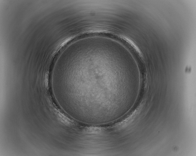 X0000097910777200803141418