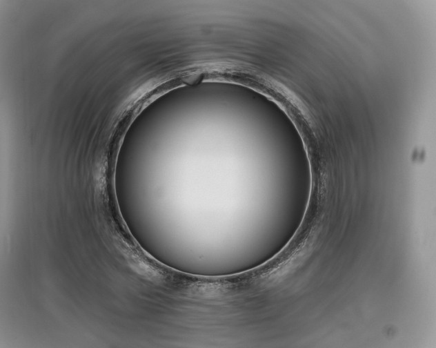 X0000097910778200803141418