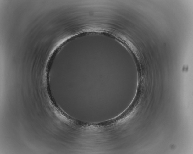 X0000097910779200803141418