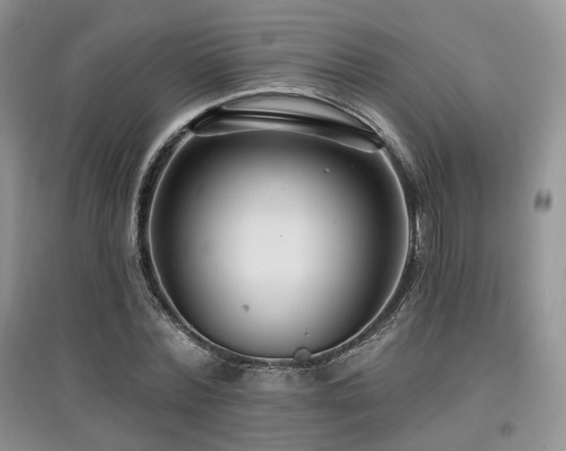 X0000097910780200803141418