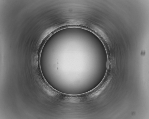 X0000097910781200803141418