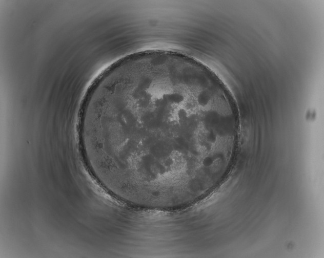 X0000097910783200803141418