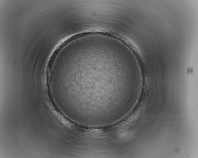 X0000097910784200803141418