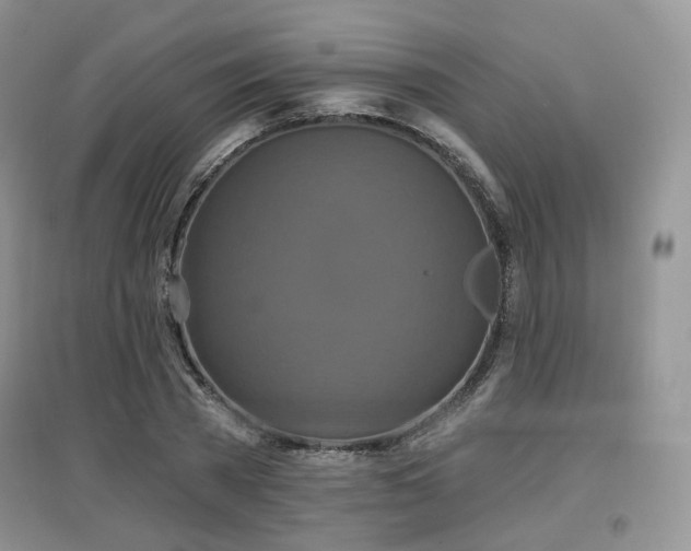 X0000097910785200803141417