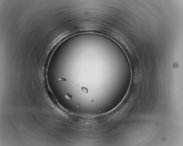 X0000097910786200803141417