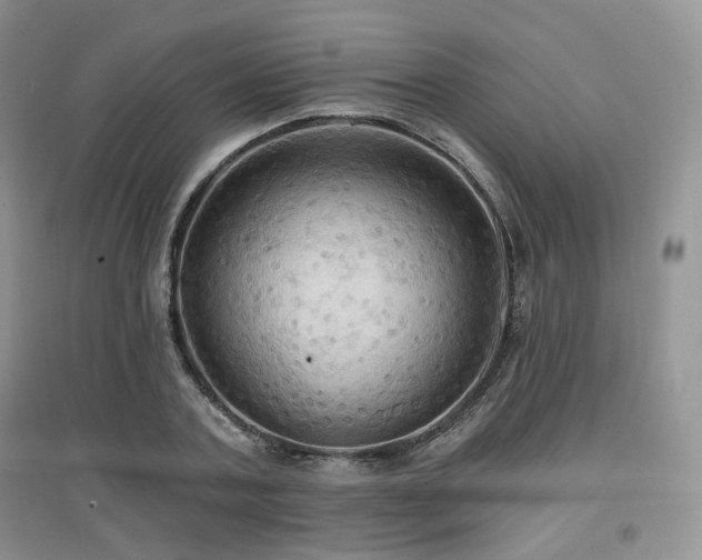 X0000097910787200803141417