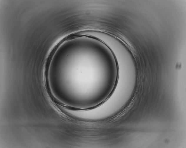 X0000097910788200803141417