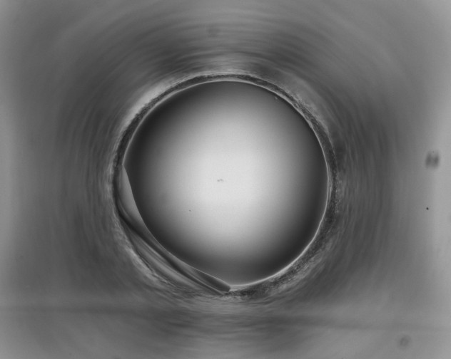 X0000097910789200803141417