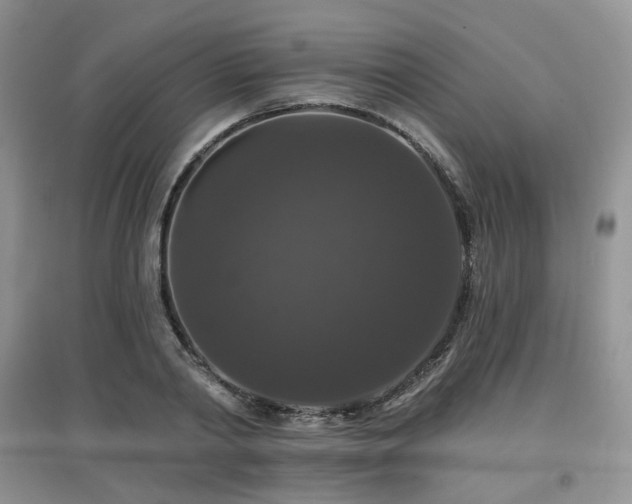 X0000097910790200803141417