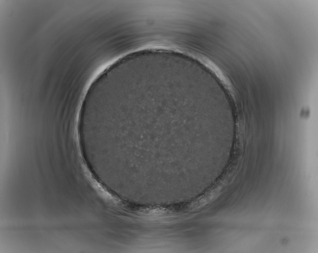 X0000097910791200803141417