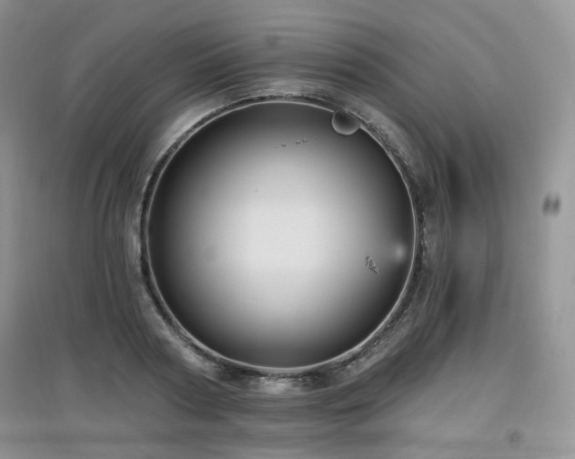 X0000097910794200803141417