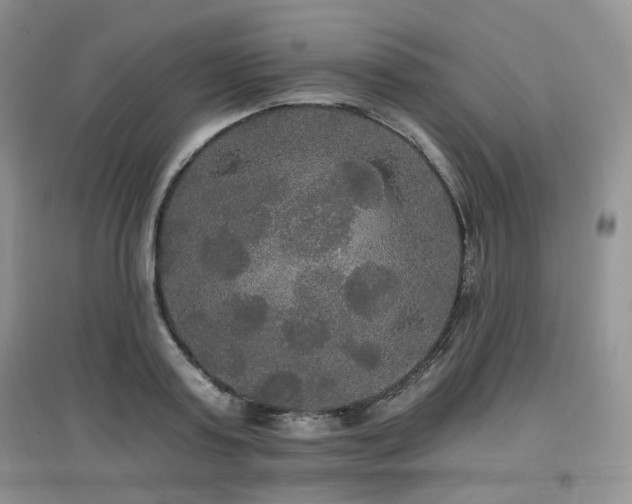 X0000097910795200803141417