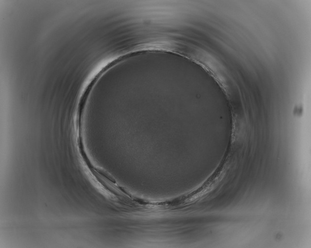 X0000097910796200803141417