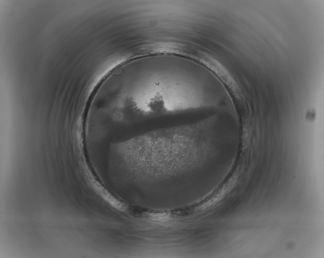 X0000097910798200803141417