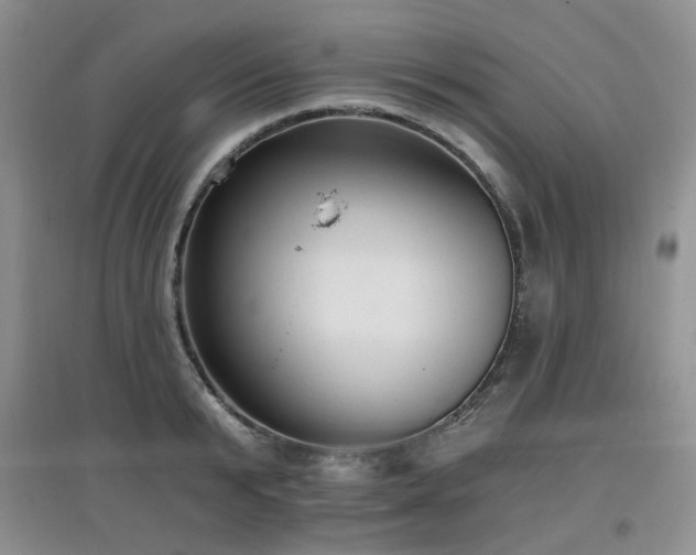 X0000097910799200803141417