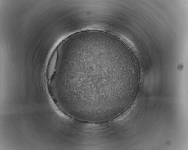 X0000097910800200803141417