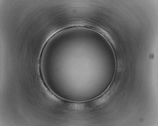 X0000097910802200803141417