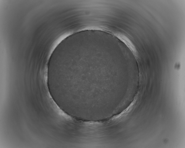 X0000097910804200803141417