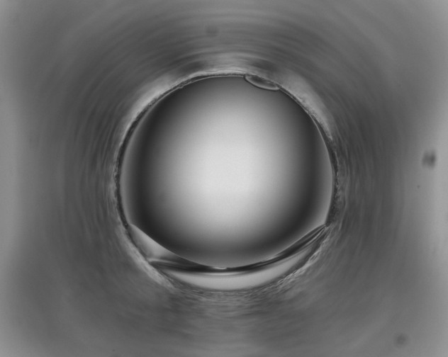 X0000097910805200803141417