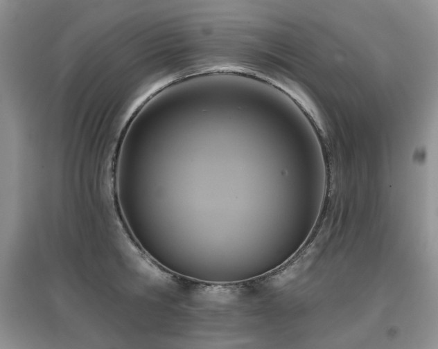 X0000097910806200803141417