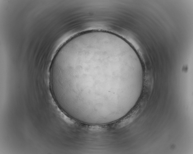 X0000097910807200803141417