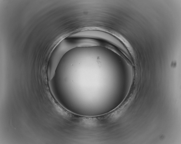 X0000097910809200803141417