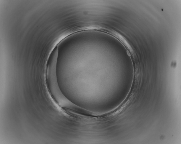 X0000097910810200803141417