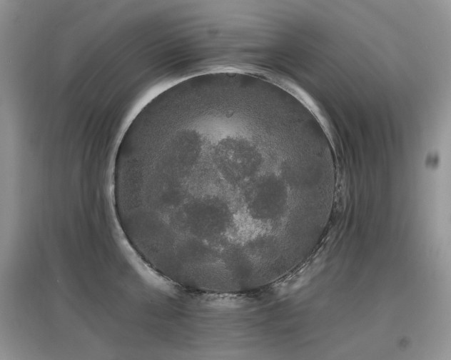 X0000097910811200803141417