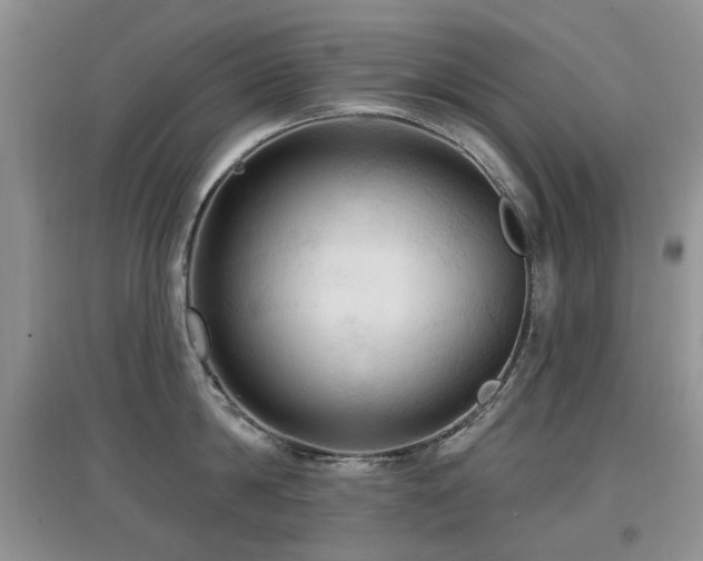 X0000097910814200803141417