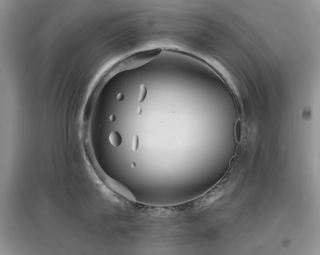 X0000097910815200803141417