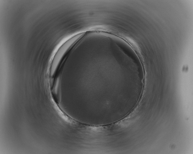 X0000097910816200803141417