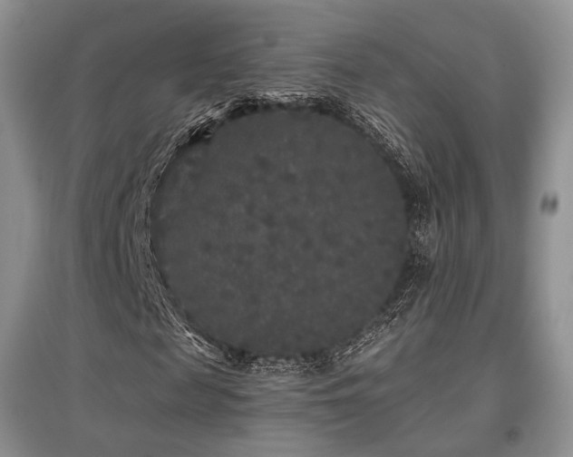 X0000097910817200803141416