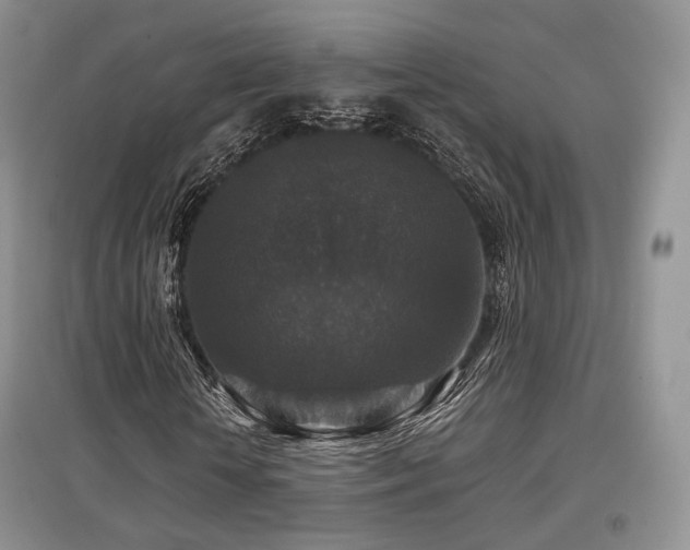 X0000097910818200803141416