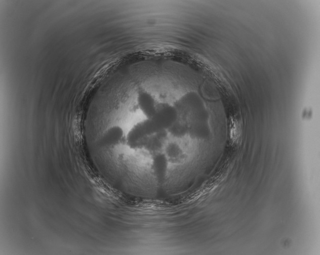 X0000097910819200803141416