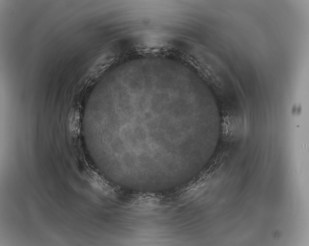 X0000097910820200803141416