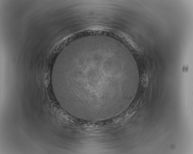 X0000097910821200803141416