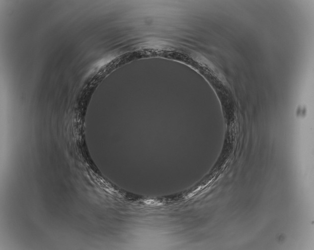 X0000097910822200803141416