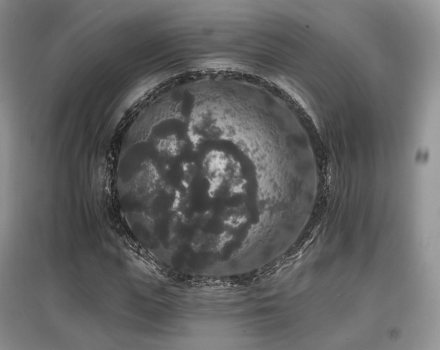 X0000097910823200803141416