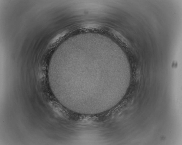 X0000097910824200803141416