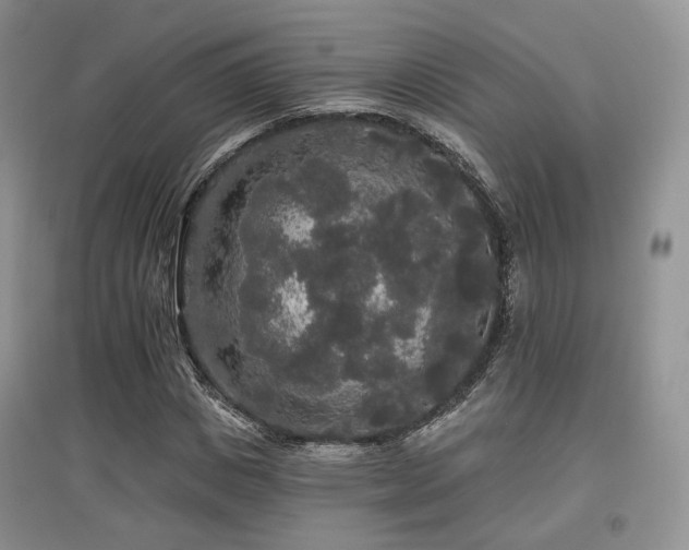 X0000097910825200803141416