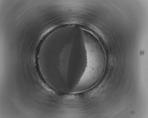 X0000097910826200803141416