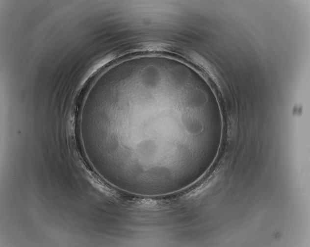 X0000097910827200803141416