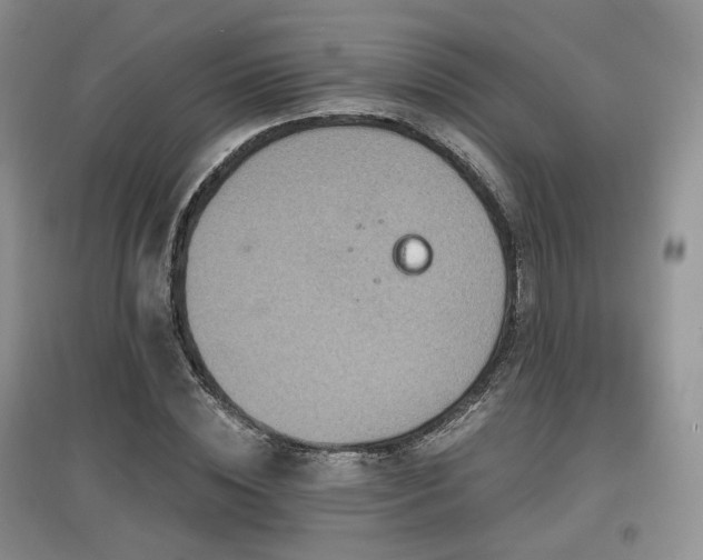 X0000097910828200803141416