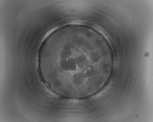 X0000097910829200803141416