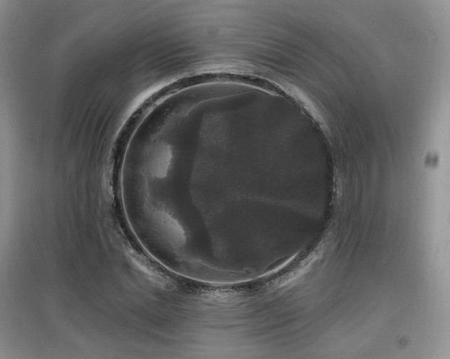 X0000097910830200803141416