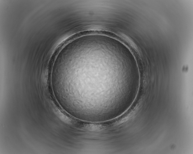 X0000097910831200803141416