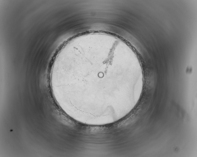 X0000097910832200803141416